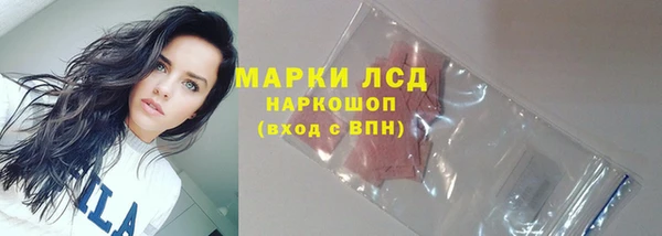 соль ск Белокуриха
