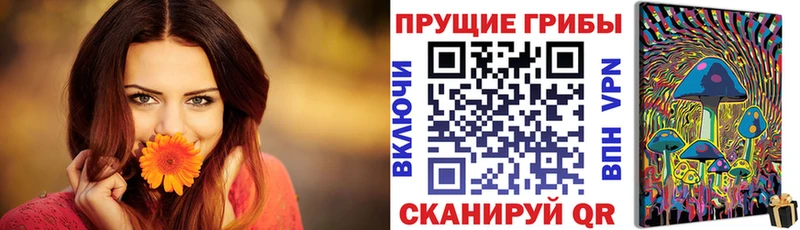 Псилоцибиновые грибы мицелий  наркошоп  Белоозёрский 